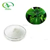 Pure natural organic herbal extract Yohimbine extract powder