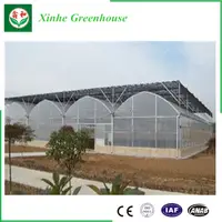 Multi Span Tunnel PE Plastic Film