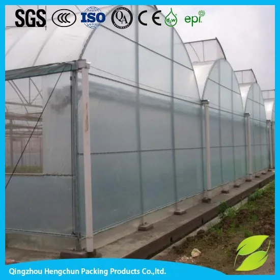 greenhouse film-048.jpg