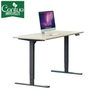New Design Modern Ergonomic Office Standing Computer Desk