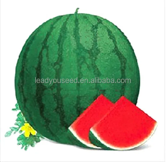 seedless watermelon seed