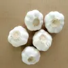 /product-detail/chinese-fresh-garlic-60707706864.html