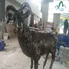 /product-detail/life-size-bronze-antelope-sculpture-bighorn-sheep-statue-60864545618.html