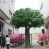 Customized Artificial Ficus Banyan Tree Fiddle Fig Plant for Garden Decoration