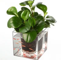 Cube Plastic Planter 12cm Transparent Home