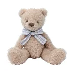 Cute Electronic Mimicry Teddy Bear Repeats Talking Plush Toy
