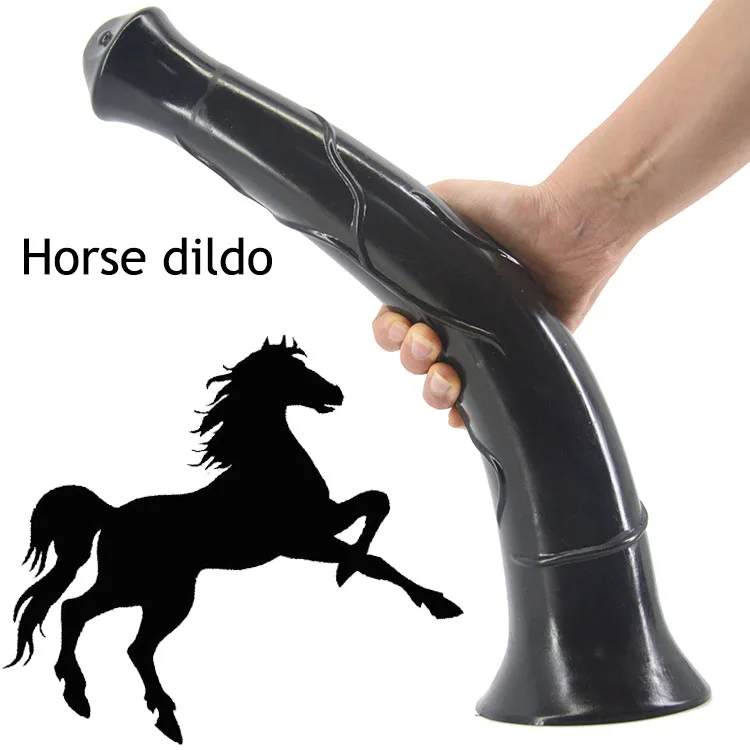 Horse Dildo.
