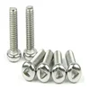 Stainless Steel Pan Head Self Tapping Triangular Thread Screw/Anti Theft Security Screw