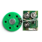 Customized programmable sound voice recording ic chip recordable sound module
