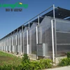 /product-detail/agricultural-used-greenhouse-frame-for-sale-62041776500.html