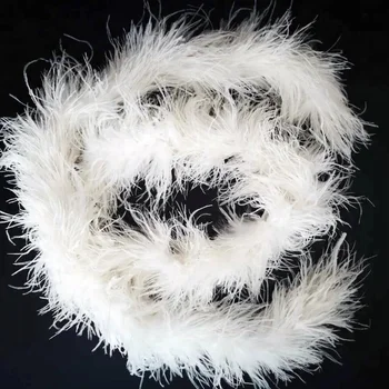 curly ostrich feathers wholesale