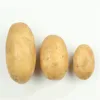 /product-detail/150-weight-kg-holland-seed-potato-from-pakistan-export-factory-62141827875.html