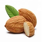 Hot selling Bulk powder Amygdalin 98% amygdalin bitter apricot seed extract