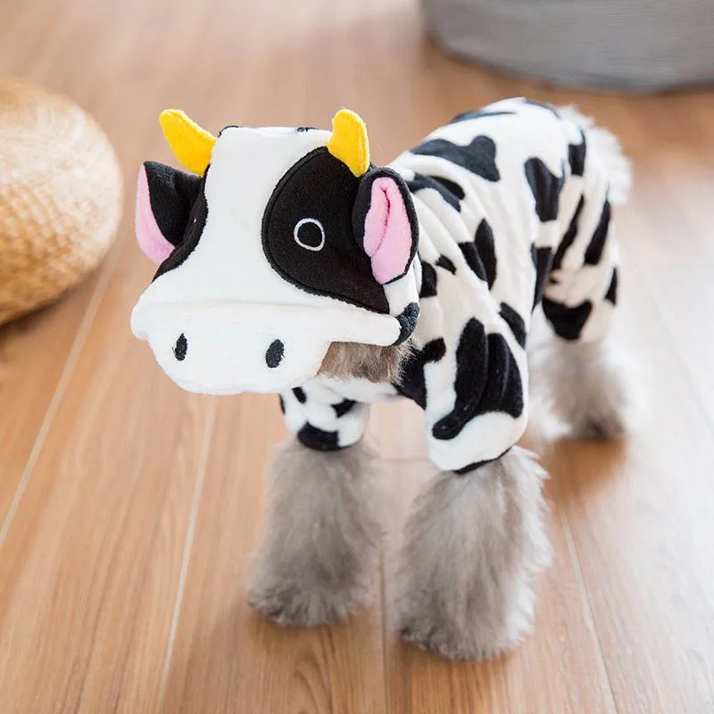 4813289432_859103132