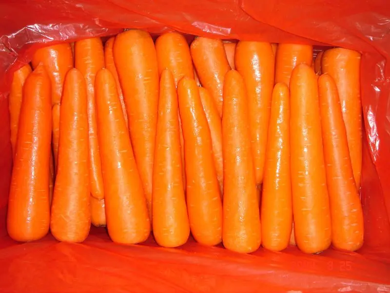 fresh carrot (3)