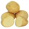 /product-detail/halal-gap-newest-crop-wholesale-seed-potatoes-fresh-potato-62183969082.html