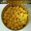 /product-detail/canned-sweet-corn-kernel-yellow-corn-60752225263.html