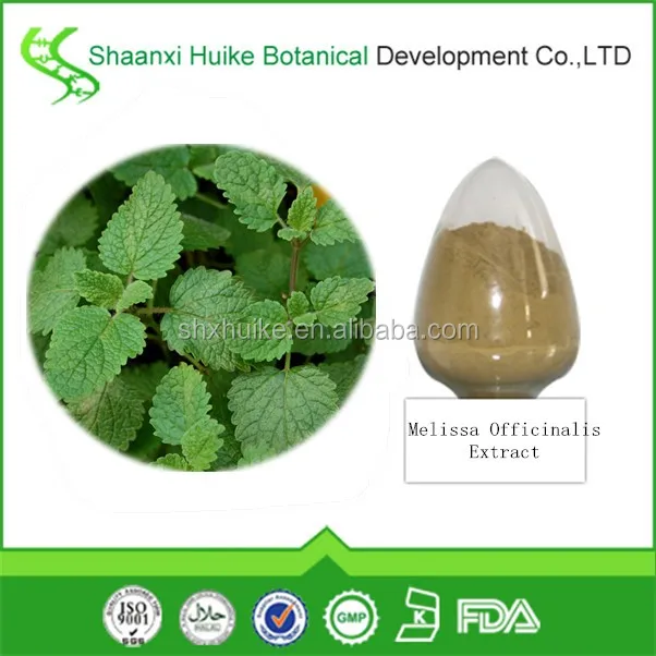 free sample lemon balm leaf extract melissa officinalis extract