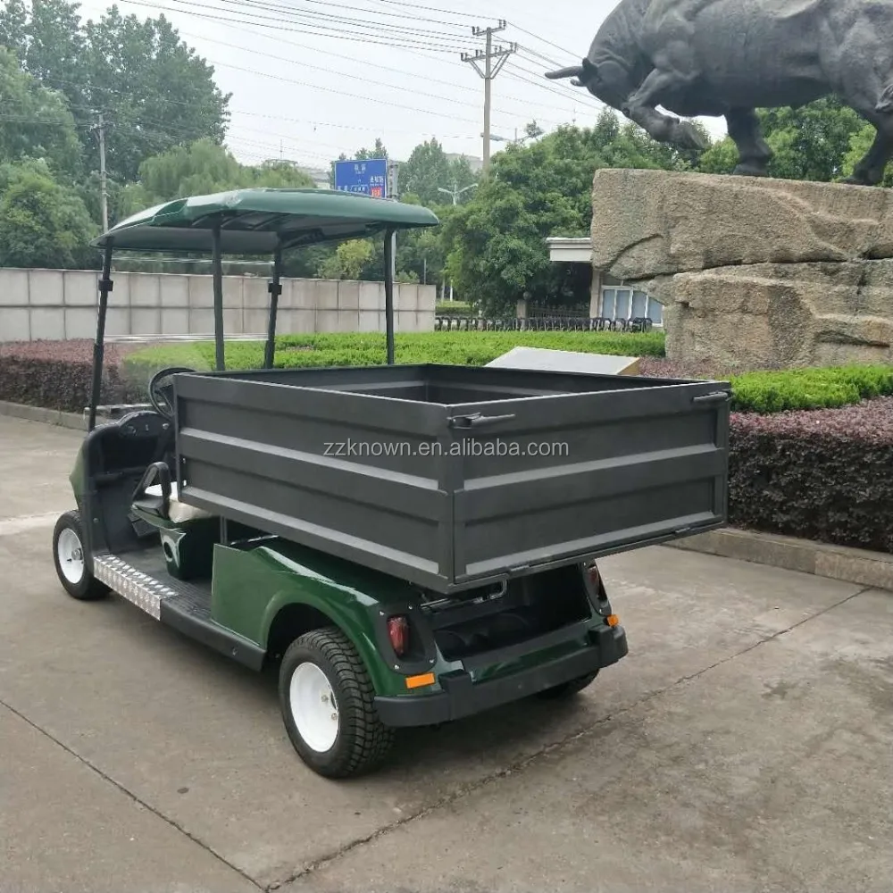 electric or gasoline golf carts 2 seats wheel drive electric