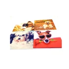 Professional design digital print multipurpose eyewear microfiber cloth for cleaning