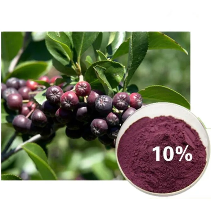 natural black chokeberry extract powder, black chokeberry