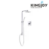 2-way square rainshower and handshower concealed shower mixer only