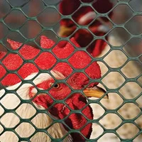 China Factory Manufacture Hot Sale chicken cage for sale in kerala