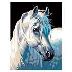 DIY Oil Painting for Beginner Kids Adults Melancholy White Horse Paint by Numbers Kit