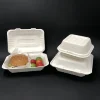 /product-detail/sugarcane-bagasse-clamshell-carry-out-fried-chicken-boxes-biodegradable-hot-dog-packaging-eco-friendly-disposable-bento-box-62063751019.html