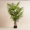 /product-detail/fake-home-decoration-indoor-bonsai-potted-plant-ornaments-artificial-plant-60527040839.html