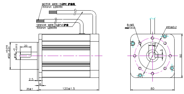 24V BLDC MOTOR