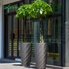 Leizisure Tree Growing Chinese Modern Resin Indoor Selfwatering Tall Cylinder Planter Pots