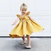 new design hot selling ruffle sleeve cotton clothing casual wear long yellow floral little baby girl cotton dresses summer
