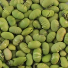 FDA certificated dry roasted edamame beans lightly salted