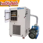 5Kg One Key Start Industrial Fruit Vegetable Food Vacuum Drying Machine