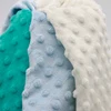 Latest design eco friendly wholesale polyester micro velboa fabric small MOQ