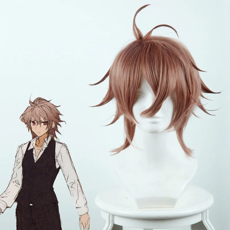 Coshome Fate Apocrypha Astolfo Asutorufo Atalanta Wig Jeanne Shirou Kotomine Saber Cosplay Costume Wigs (6)
