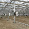 /product-detail/unq-agricultural-greenhouses-used-sale-auto-matic-control-greenhouse-62188586750.html