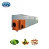 fruit and food dryer machine india