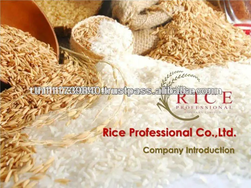 quality extra well milled pure soft aromatic thai hom mali rice