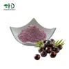 Acai Berry Extract powder, High Quality Natural Brazilian Acai PE 4:1,10:1,fruit juice powder