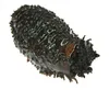 /product-detail/high-quality-russian-frozen-sea-cucumber-60829281564.html