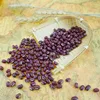 Small red bean,2019 crop,HPS,Hebei origin