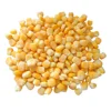 /product-detail/iqf-frozen-bulk-sweet-corn-60297797609.html