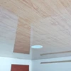 /product-detail/clear-plastic-exterior-building-materials-pvc-ceiling-design-from-china-mainland-60712646435.html