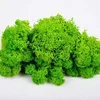 Artificial preserved moss china preserved green moss wedding wall decoration