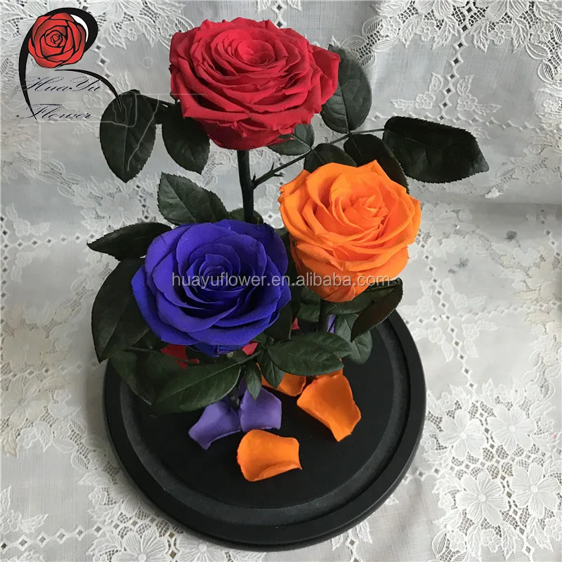 Single giant immortal rose in glass dome preserved flowers for valentine / women's day gifts