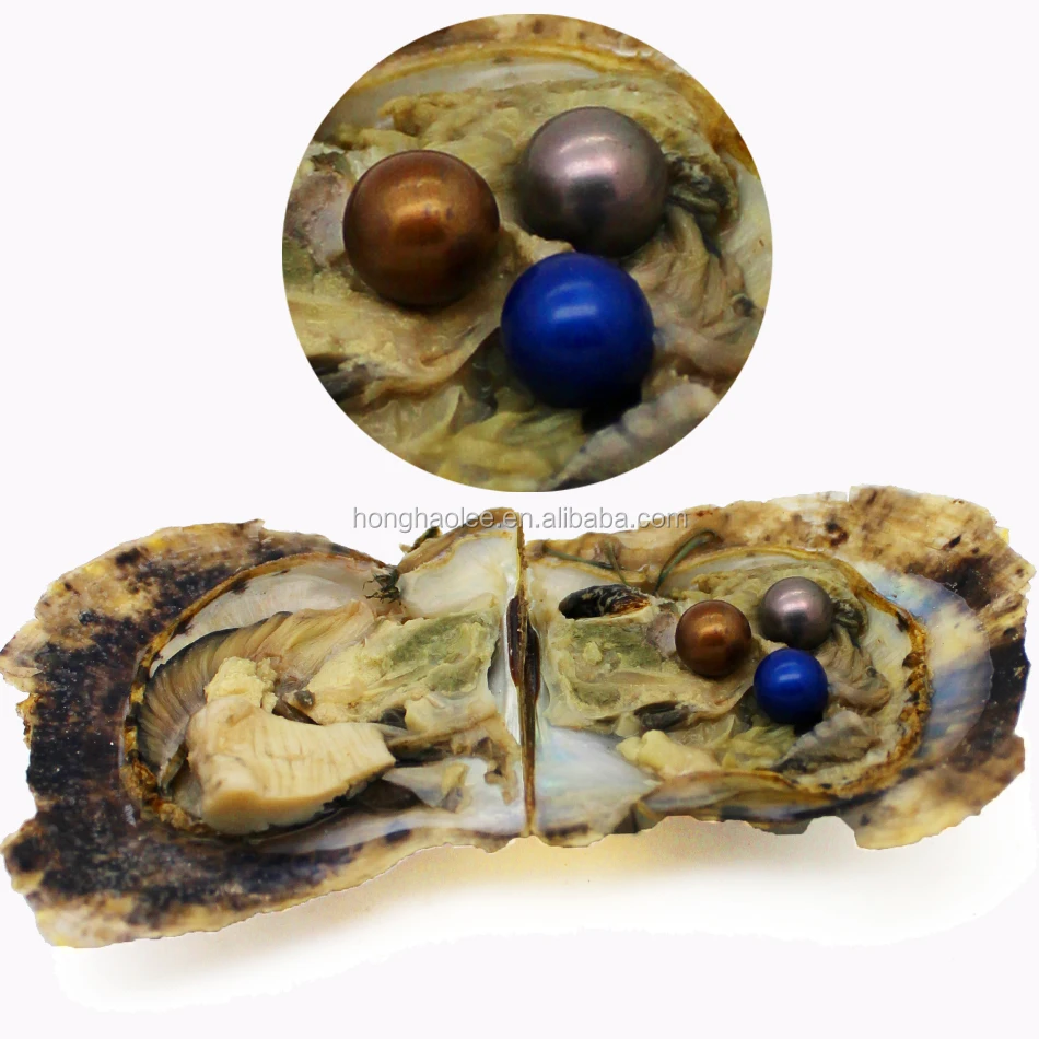 Large-scale aquaculture freshwater pearl oyster AAAA7-8mm round triplet pearl inside DIY birthday gift wholesale
Large-scale aquaculture freshwater pearl oyster AAAA7-8mm round triplet pearl inside DIY birthday gift wholesale