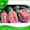 /product-detail/high-disease-resistance-black-beauty-no-1-water-melon-seeds-for-planting-60676851557.html