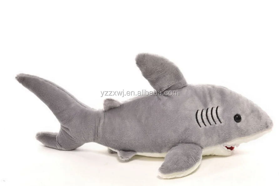 shark 5.png